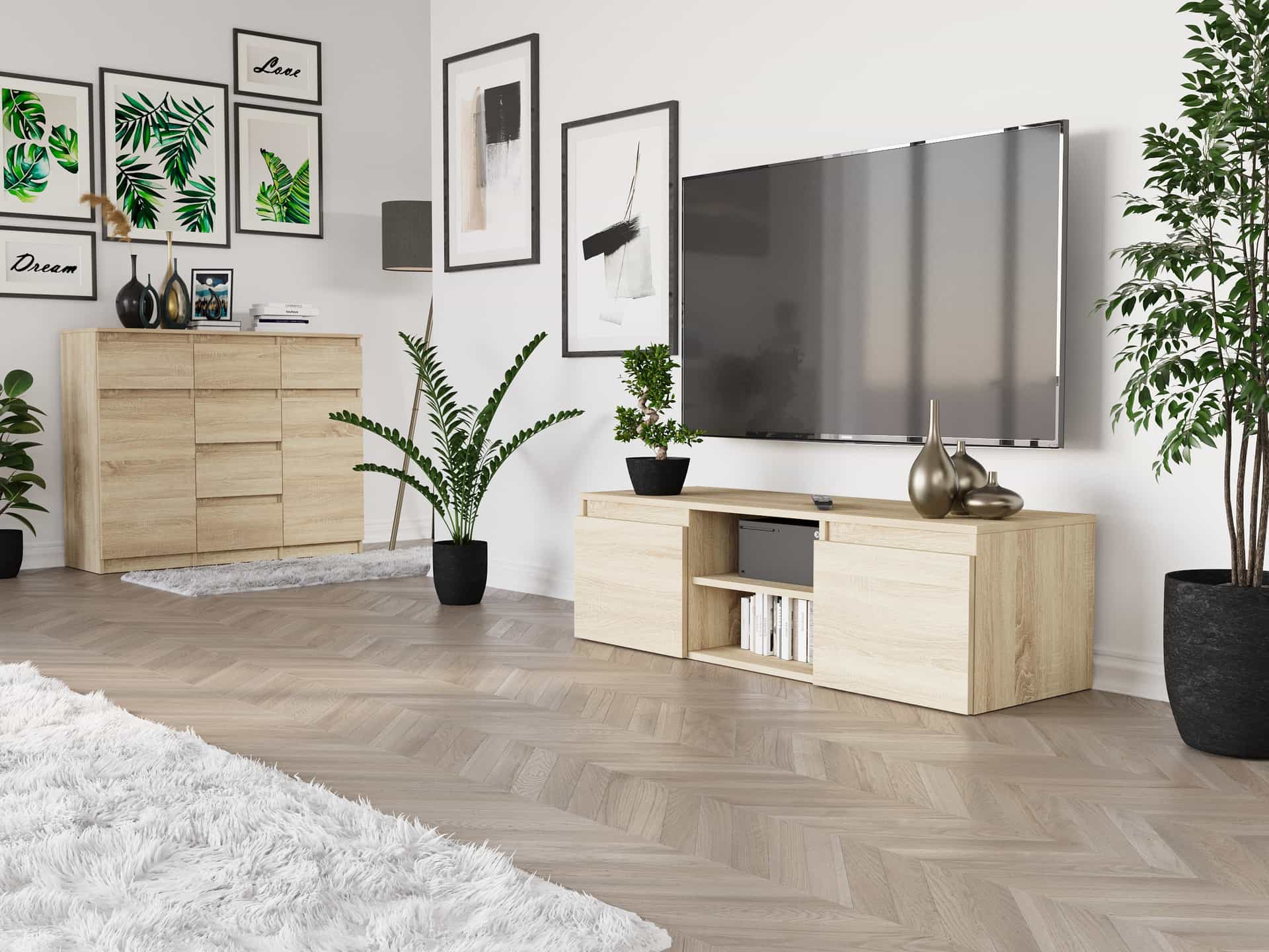 Szafka RTV Tania Sonoma 120 x 40 x 36 cm Modern RTV